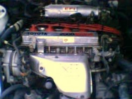 engine bay 1.jpg