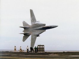 f-14_flyby.jpg