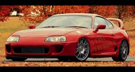 supra11 copy.jpg