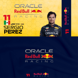 RB18_11_Perez_ac_crew.png