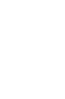 RK Aviation Consulting (White on Transparent) Large.png