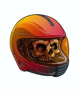 Grouchy Old Racer Skull.jpg