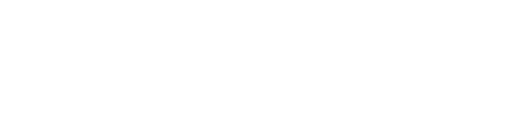 5e4af0469ad7736eb0663548_TechSport Racing Wordmark Logo Stacked.png