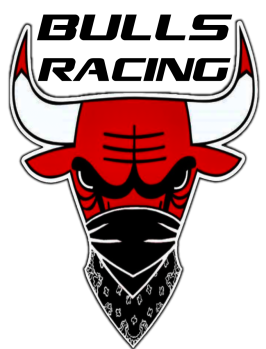 bulls.png