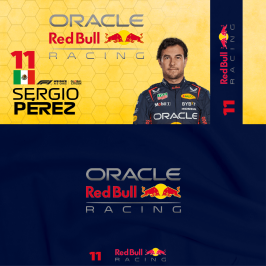 RB18_11_23_Perez_ac_crew.png