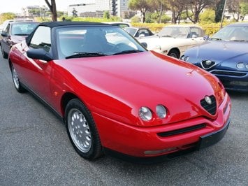 GTV spider.jpg