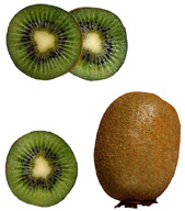 kiwi.jpg