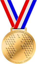 2.0 Bronze Medal.png