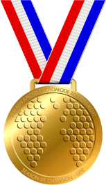 2.0 Gold Medal.png