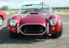 shelby-cobra67.jpg