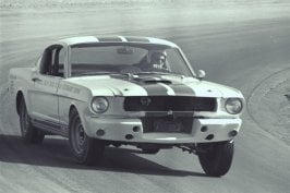 shelby mustang.jpg