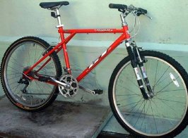 Gt cheap palomar 1997