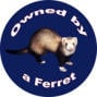 owned bty ferret.jpg