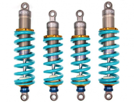 nitro fast road and track dampers.PNG