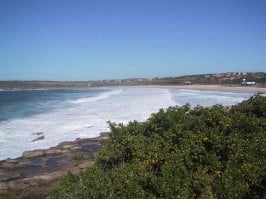 view south along beach.jpg