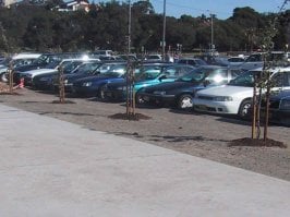 subarus at maroubra.jpg