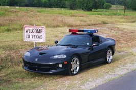 viper_car_cop_01.jpg