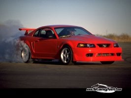 mustang cobra r.jpg