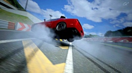 Deep Forest Raceway_8.jpg