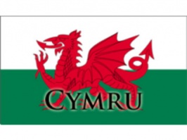 welsh flag.jpg