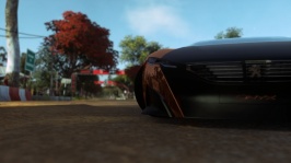 DRIVECLUB™_20150410183607.jpg