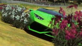 DRIVECLUB™_20150330174545.jpg