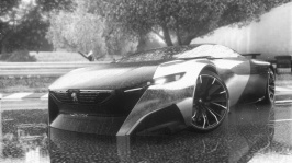 DRIVECLUB™_20150325132910 B&W.jpg