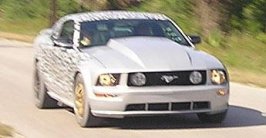 2006SVTCobra.jpg