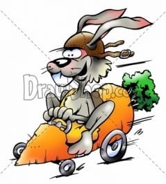 RF-Graphic-from-DrawShop-Rabbit-driving-car-in-a-carrot-1330-35.jpg