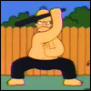 ninjahomer2vd.gif