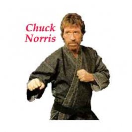 Chuck%20Norris.jpg