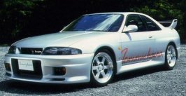 skyline r33e.jpg