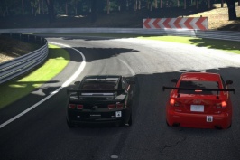 Deep Forest Raceway_4.jpg