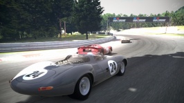 Deep Forest Raceway_1.jpg