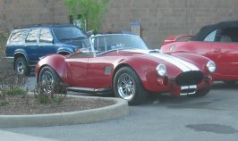 Shelby Cobra 289 replica.JPG