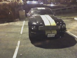 shelby gth2.jpg