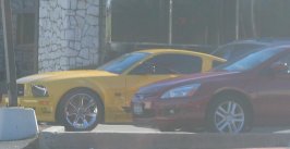 Ford Mustang Saleen S281.JPG