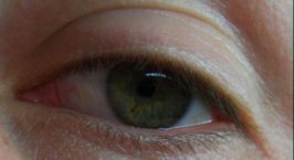 The Eye-small.jpg