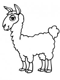 alpaca-coloring-page.jpg