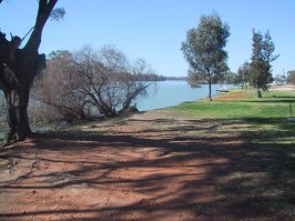 view south along murray at moorook.jpg