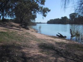 view north of murray at moorook.jpg