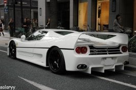 white f50.jpg