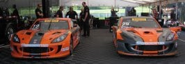 ginetta paddock.jpg