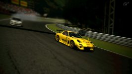 Deep Forest Raceway_18.jpg