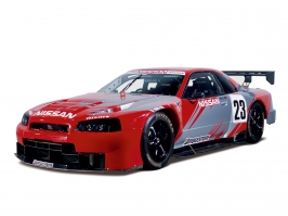 2002-Skyline-GT-R-BNR34-JGTC-Series-entry-replica.jpg