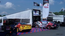 stevensonpaddock2011cpyrt.jpg