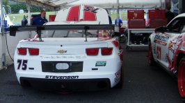 stevenson210375cpyrt.jpg