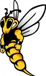 yellowjacket-logo-relaxed-4-color.jpg