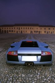 murciélago-033.jpg