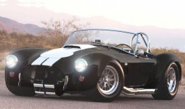 shelby_cobra_12 copy.jpg